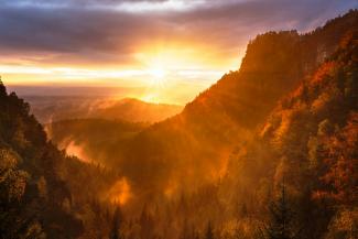 mountains and tree range during golden hour by Artem Sapegin courtesy of Unsplash.